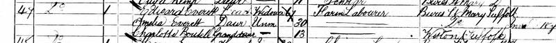 Census 1881