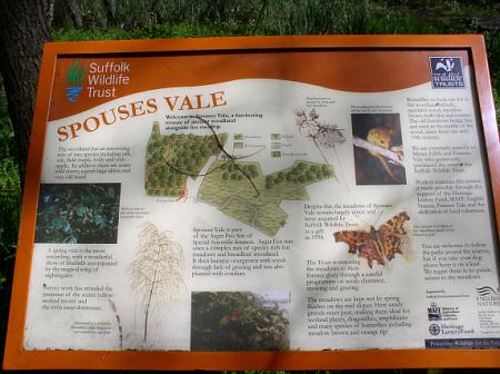 noticeboard
