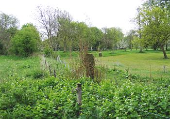 wormingford