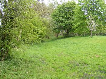 wormingford